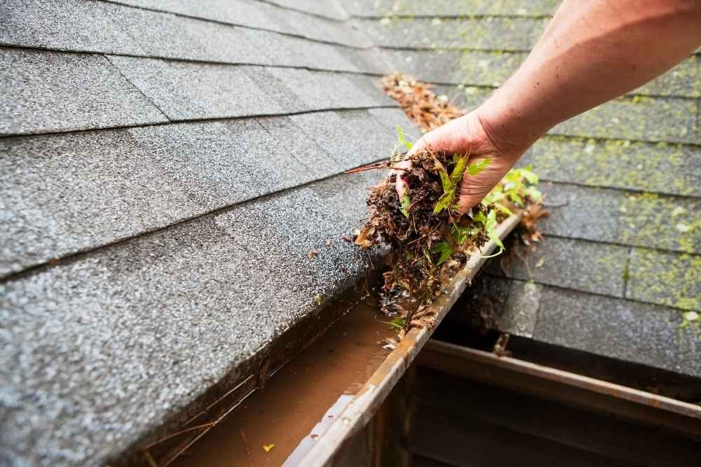 Clogged Gutter Cleaning Wilmington, NC