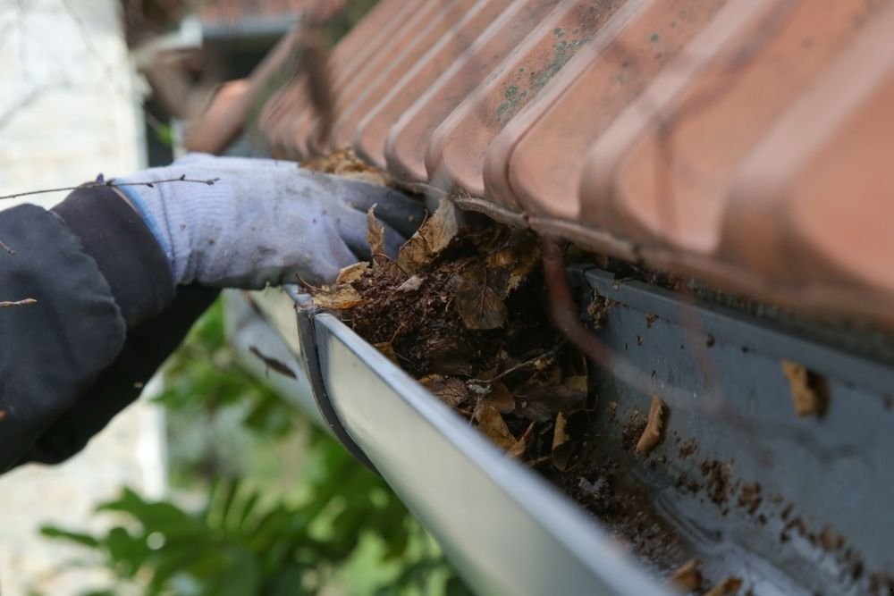 Experts for Gutter Cleaning in Wilmington, NC
