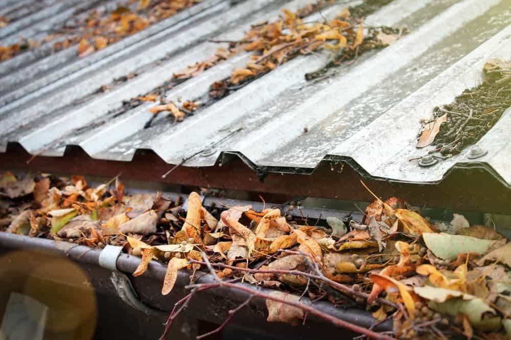 Gutter Cleaning Wilmington, NC