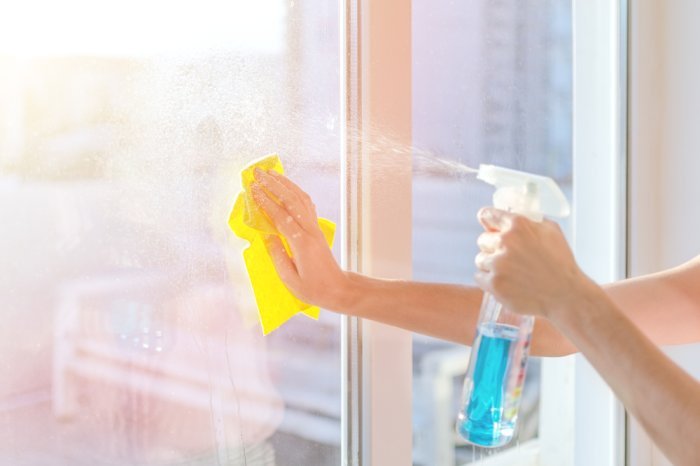 Window Cleaning Services