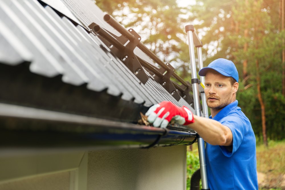 Gutter cleaning
