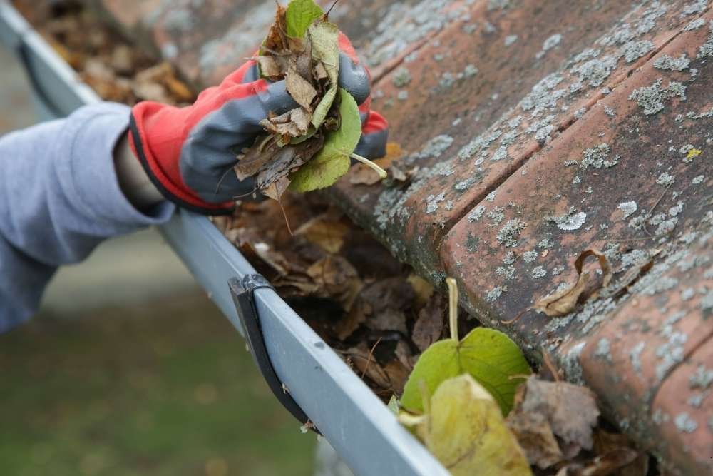 gutter cleaning service Carolina Beach NC